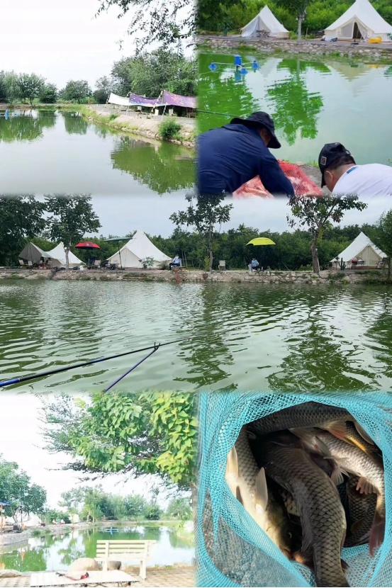 3333.jpg